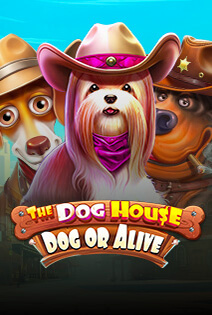 The Dog House - Dog or Alive